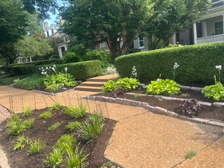 Front Landscape Complete