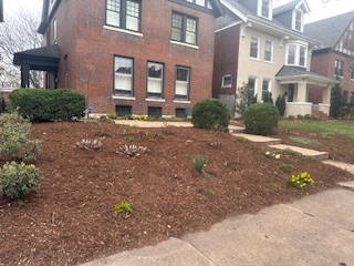 Front Landscape Plants